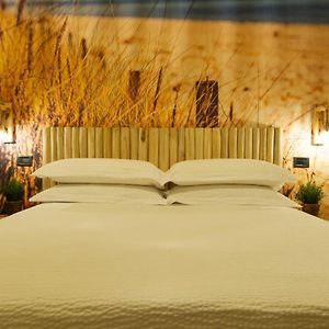 B&B 49 Passi